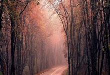 2025火狐体育新闻虽迟但到！三亚文旅删除徐杰宣传视频 今夏深陷出轨堕胎赌球丑闻