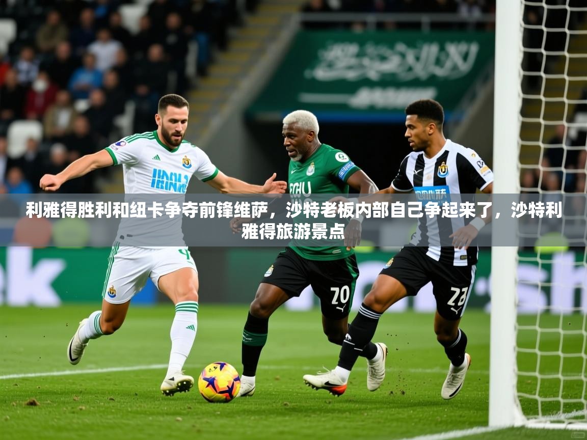 2025火狐体育网页版利雅得胜利和纽卡争夺前锋维萨，沙特老板内部自己争起来了，沙特利雅得旅游景点  第4张